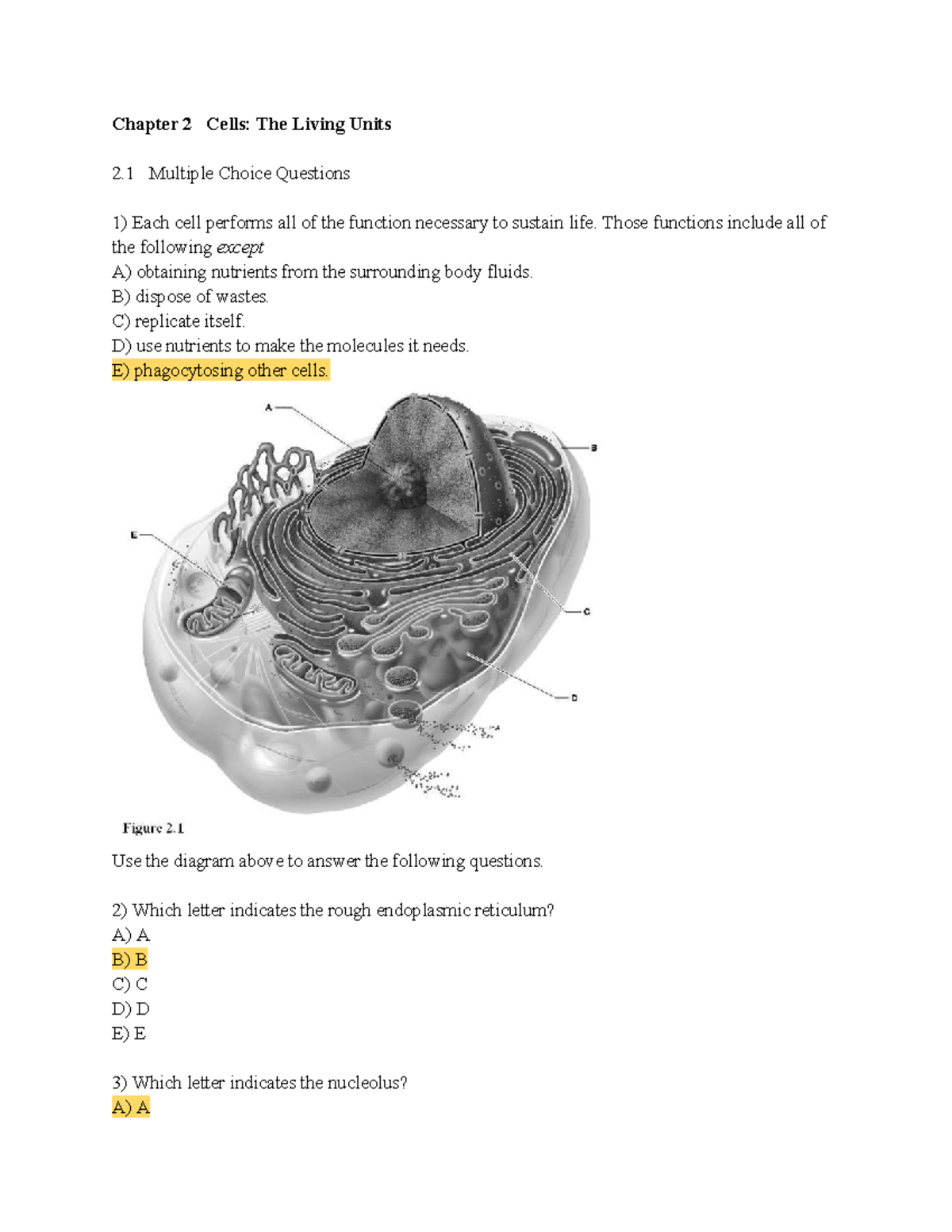 Anatomy 101: Lecture Exam 1 Study Guide on Cell Structure & Function ...