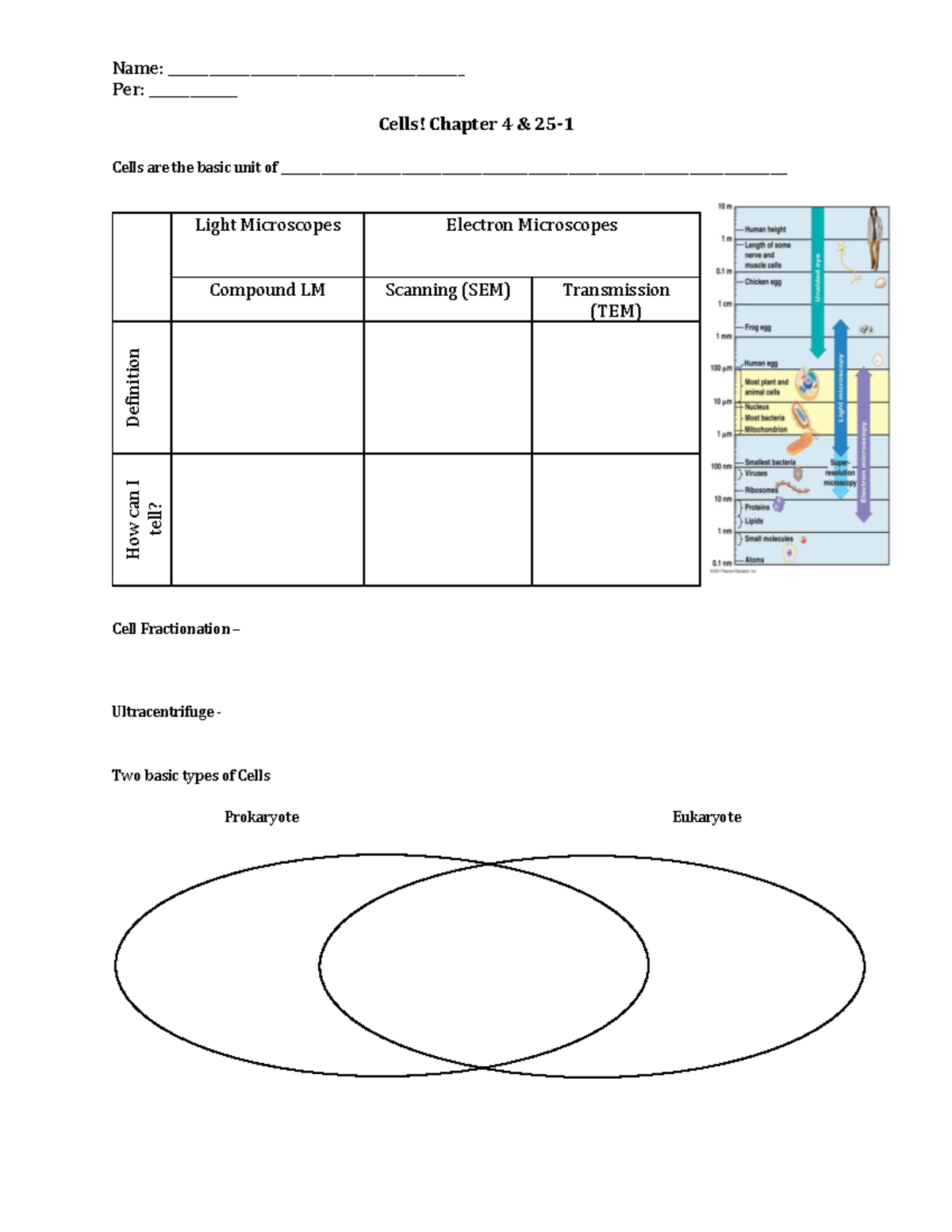 BIO101: Intro to Cells Lecture Notes - Chapter 4 Overview - Studocu