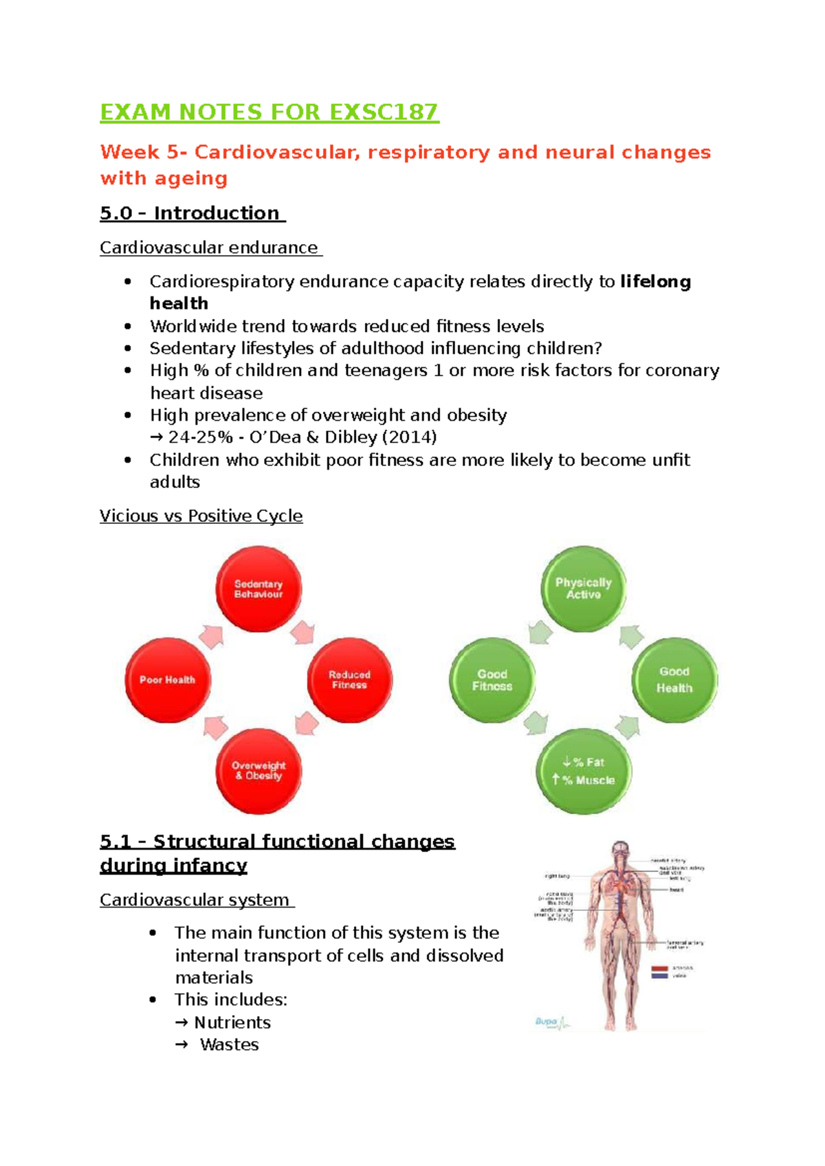 Exam Notes for EXSC187: Motor Development and Ageing Changes - Studocu