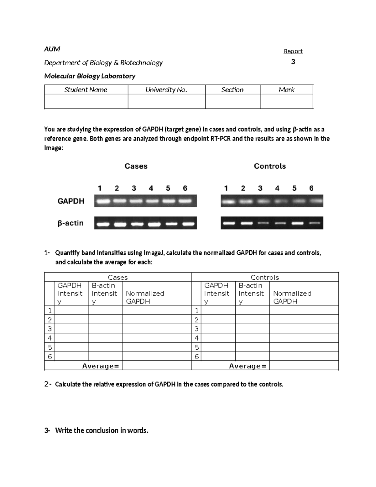 RT-PCR Report - AUM BIOL 3: GAPDH Expression Analysis - Studocu