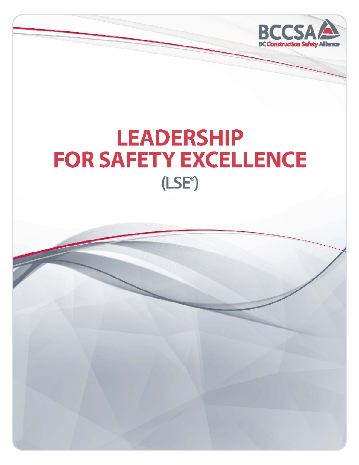 Leadership for Safety Excellence (LSE®) Training Guide: Safety ...
