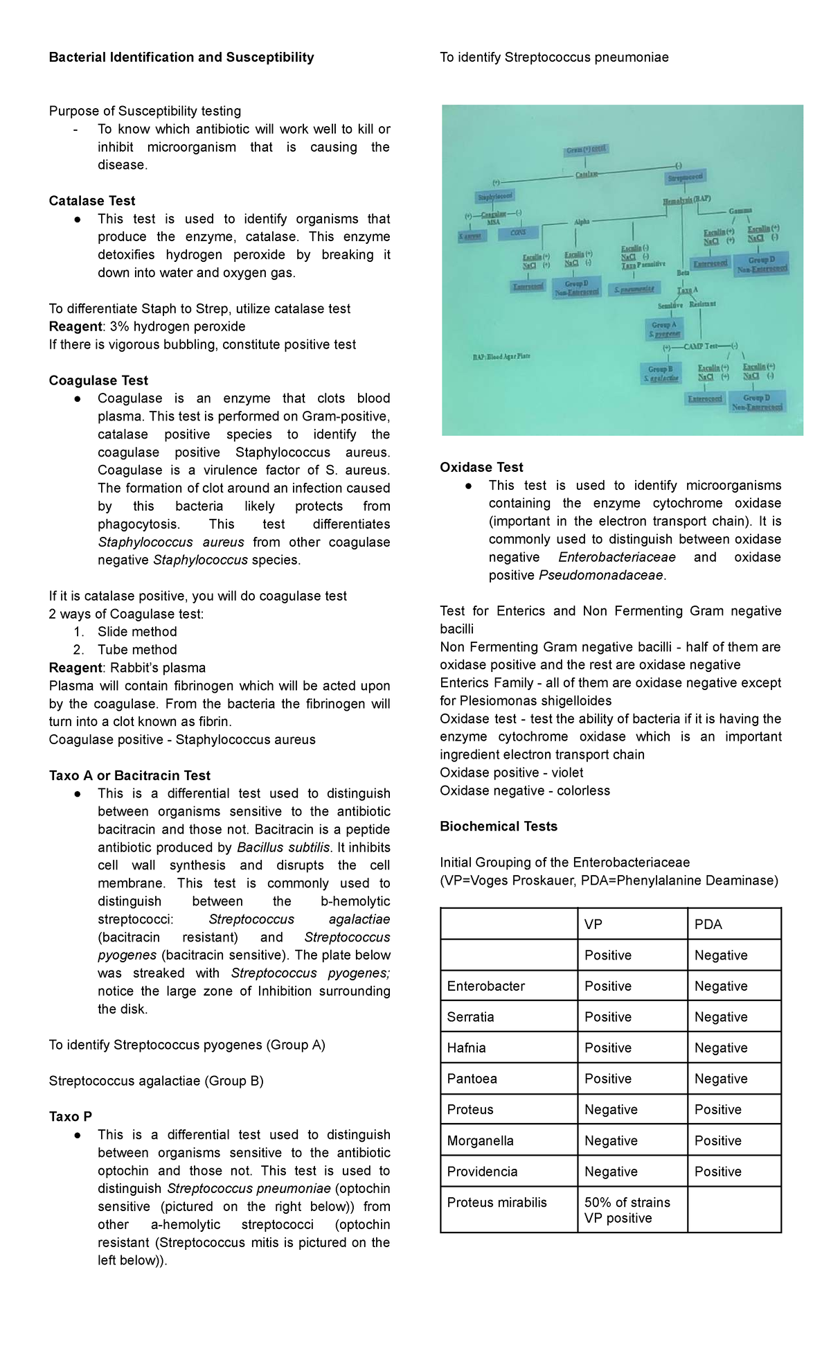 Bacterial Identification & Susceptibility Testing: Streptococcus ...