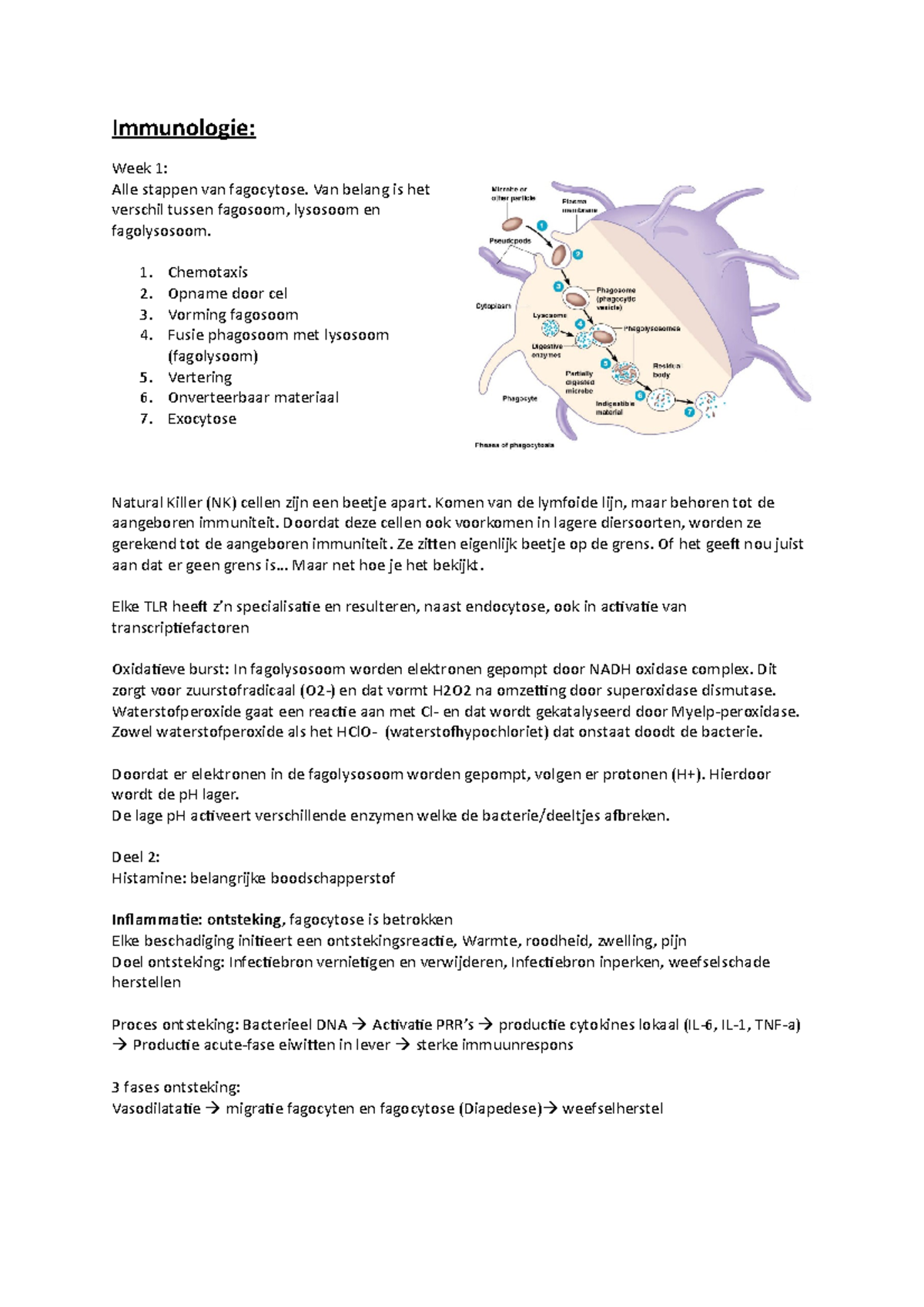 Immunologie - Samenvatting van Fagocytose en Ontsteking Processen ...