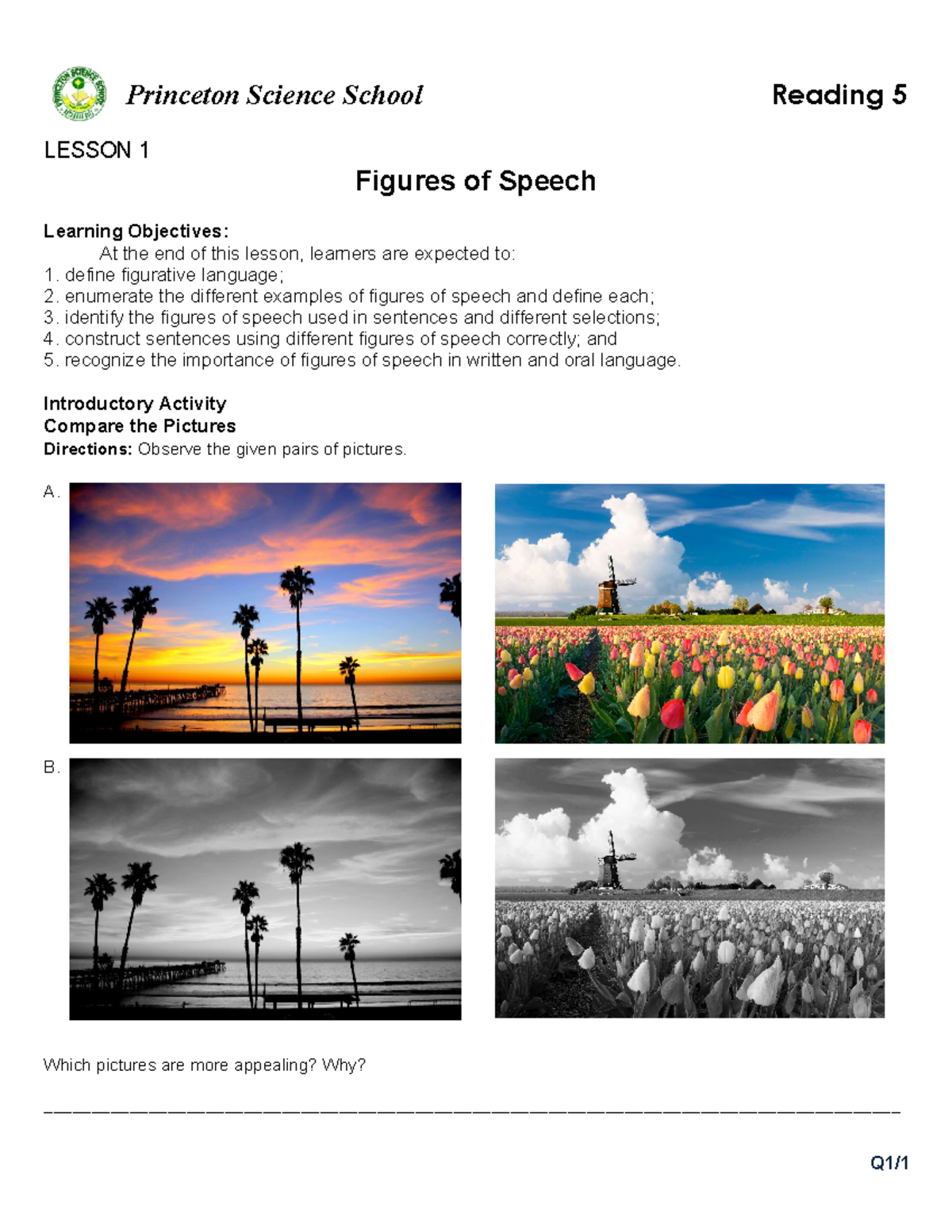Princeton Science School: Lesson 1 - Exploring Figures of Speech - Studocu