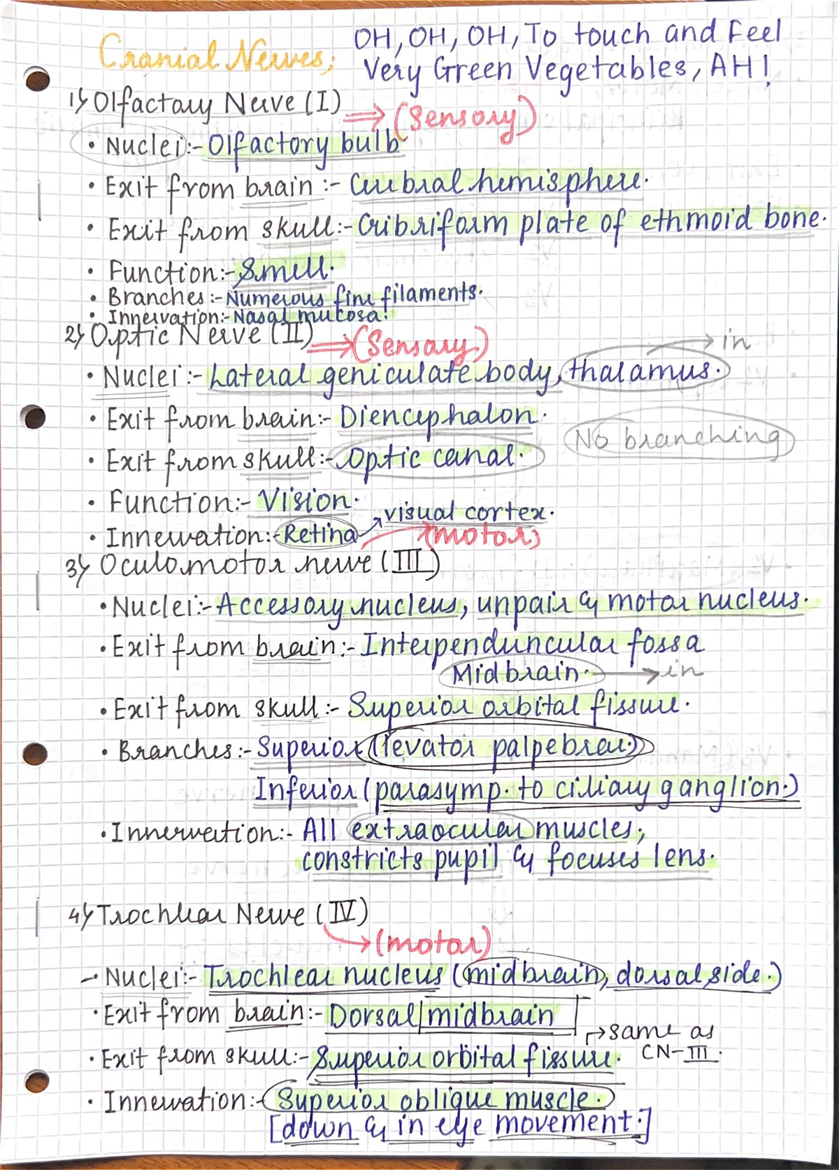 Cranial Nerves Overview: Key Functions and Pathways (Course Code: OH ...