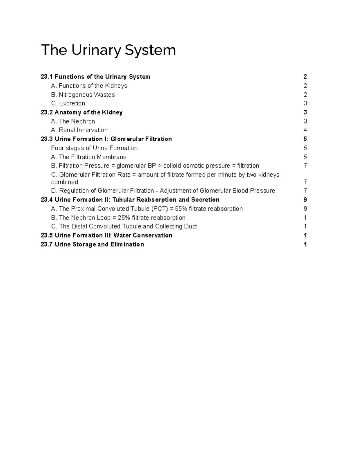 Urinary System Functions & Anatomy: Detailed Lecture Notes (Bio 101 ...