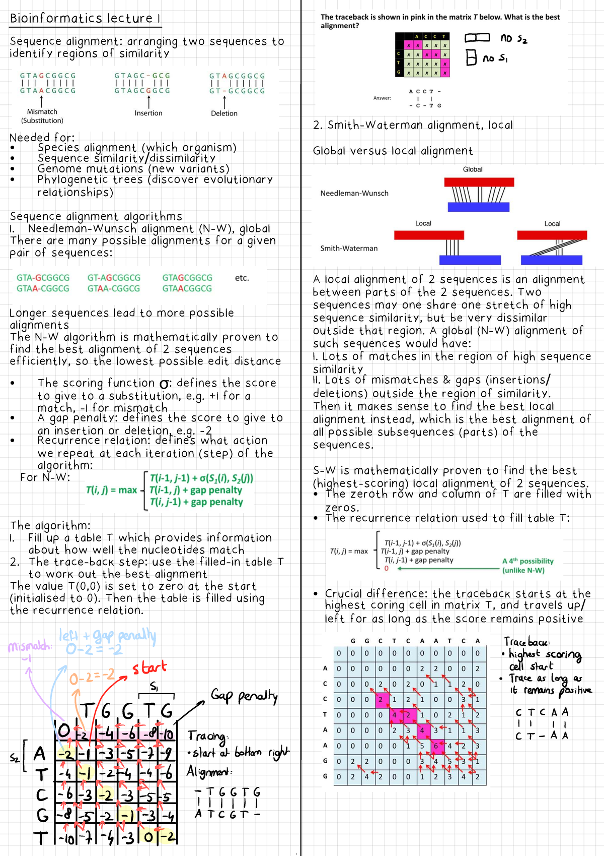 Bioinformatics - Summary of Lecture 1: Sequence Alignment Techniques ...