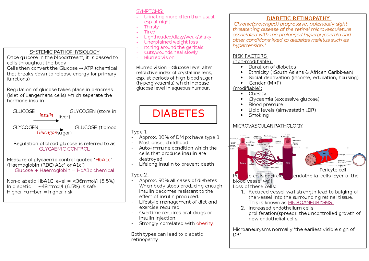 Diabetes Mellitus Overview and Key Insights - Notes (Course Code: DM101 ...