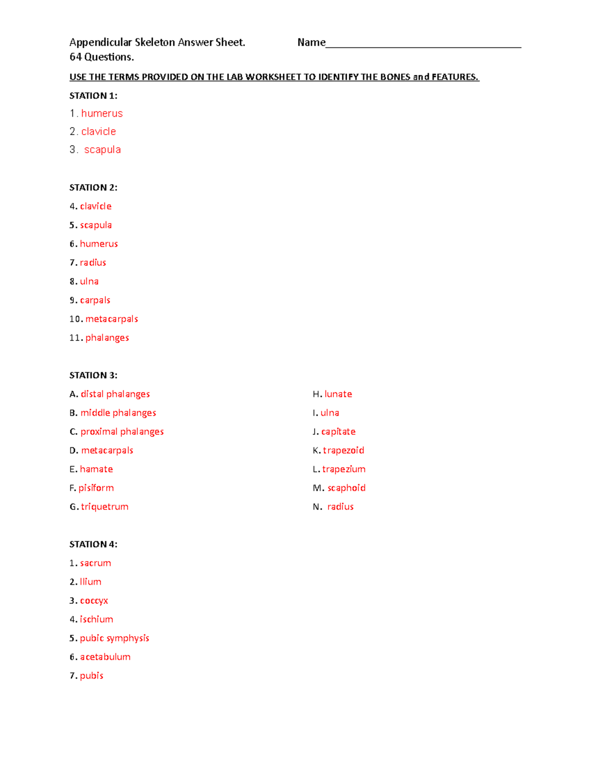 Appendicular Skeleton Lab Worksheet Answer Key: 64 Questions - Studocu