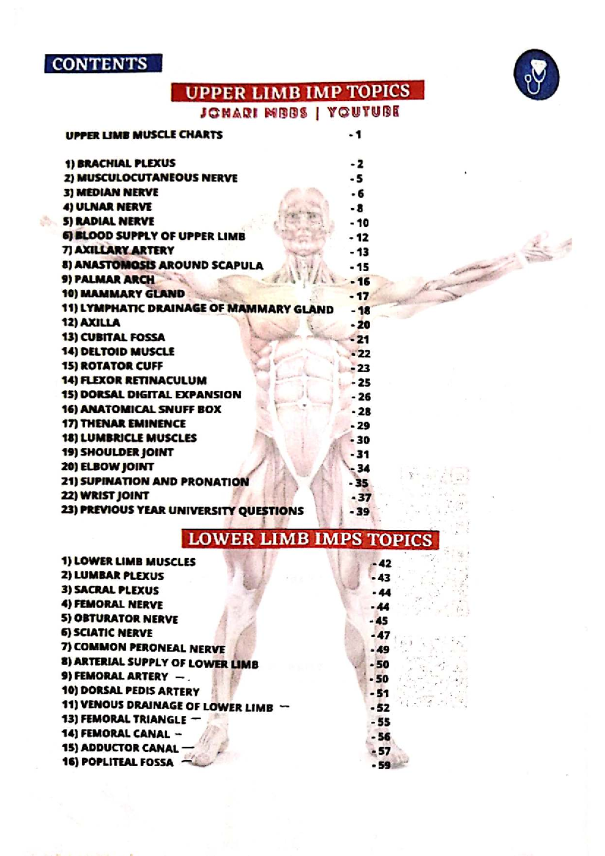 Upper Limb Anatomy Overview - Johari MBBS I Notes - Studocu