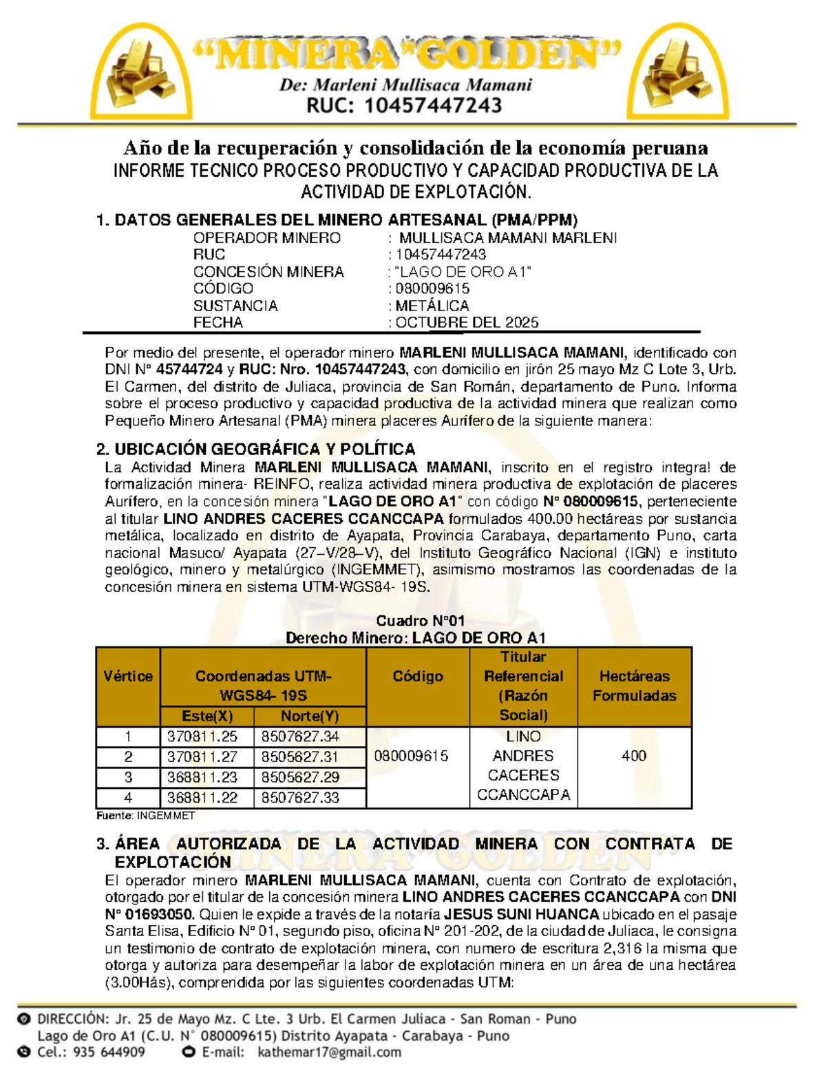 Informe Técnico sobre Proceso Productivo Minero - PMA 2025 - Document Preview