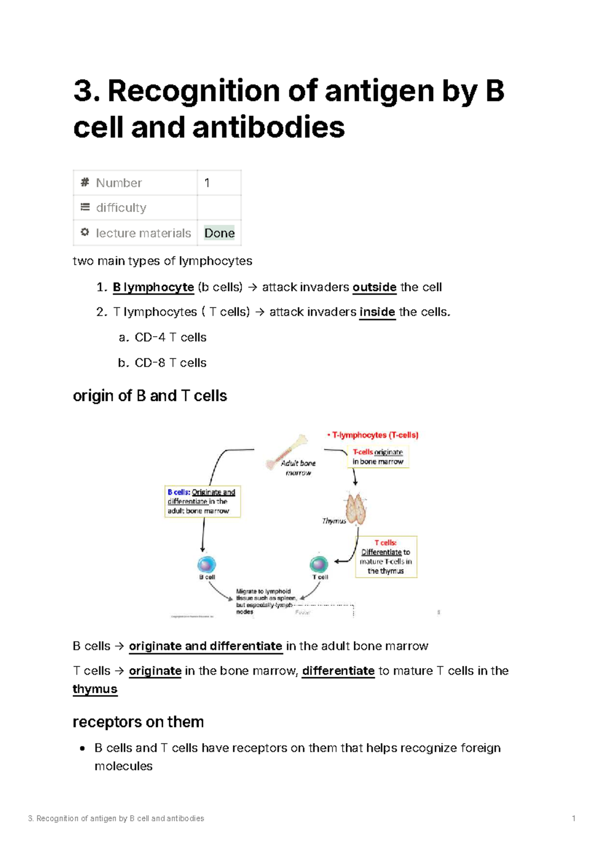 Recognition of Antigen by B Cells: Lecture Notes on Immunology - Studocu