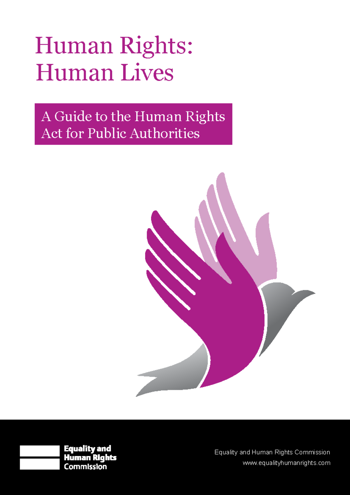 Human Rights Act Guide for Public Authorities: A Practical Overview ...