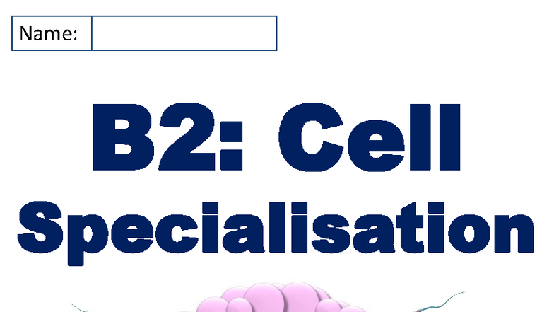 B2: Cell Specialisation Summary Cheat Sheet for BTEC Applied Science ...