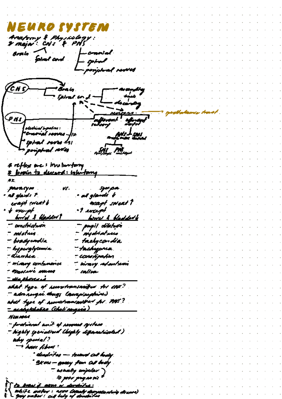 NEURO 101: Anatomy & Physiology of CNS and PNS Overview - Studocu