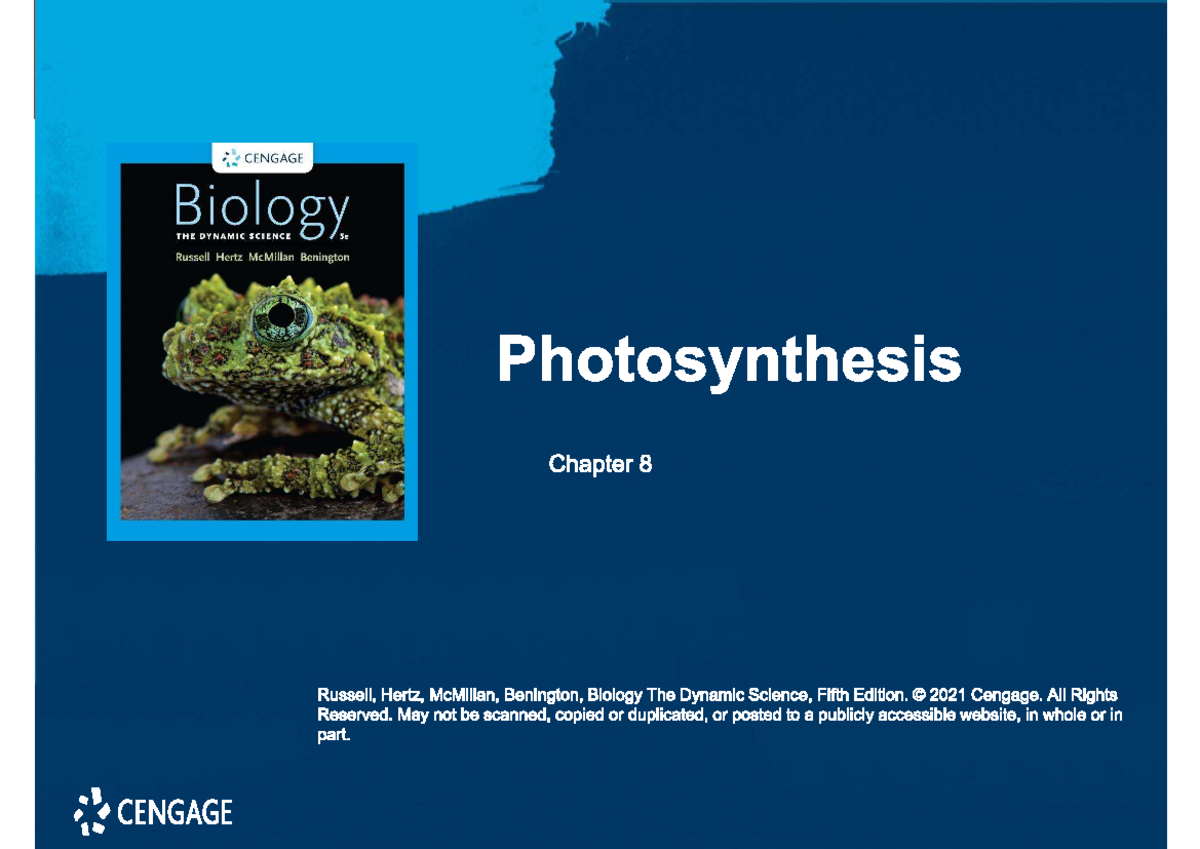 Photosynthesis - Q&A for CENGAGE Biology Chapter 8 - Studocu