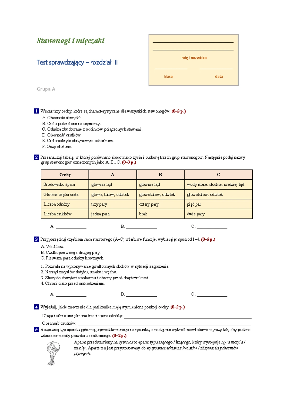 Sprawdzian Z Geografi Roz 2 Ludność I Urbanizacja