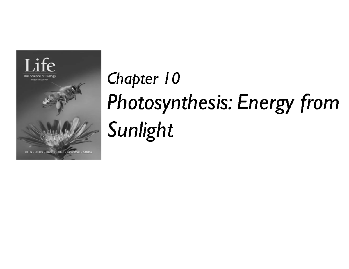 Photosynthesis: Mechanisms and Processes — Chapter 10 Overview ...