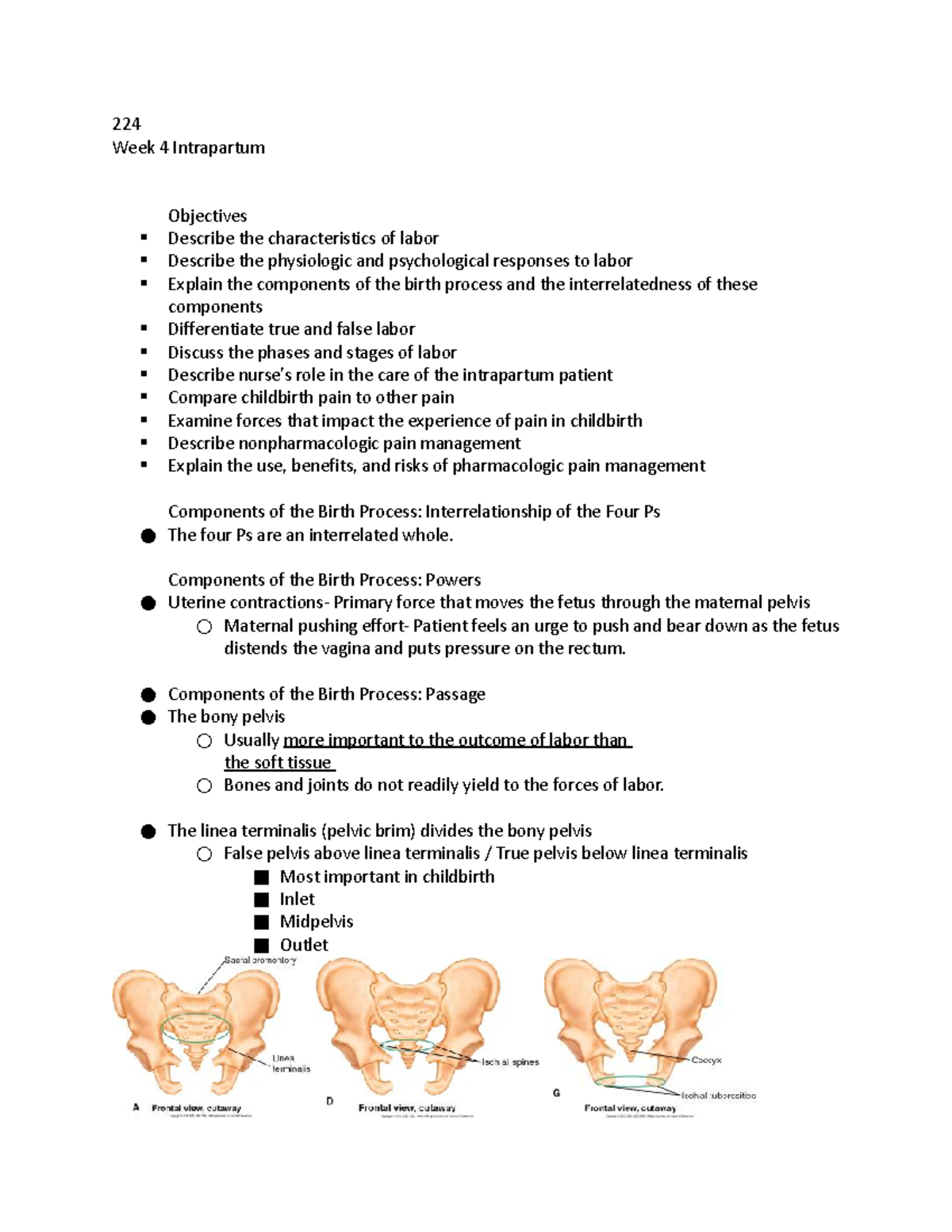 224 Week 4-6 Intrapartum Care & Pain Management Overview - Studocu