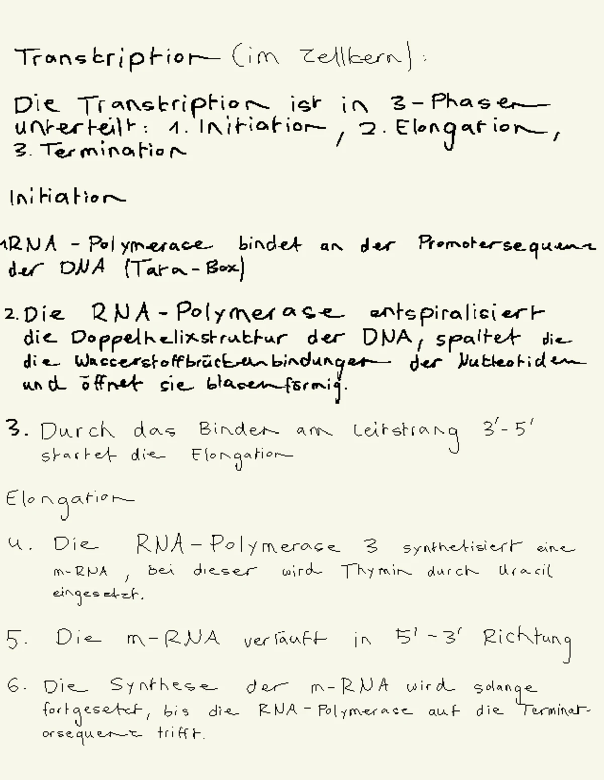 Translation - Material aus dem LK: Ribosomen, Initiation, Elongation ...
