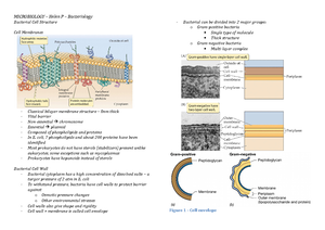 Immune system worksheet BioInteractive Published March 2022 Immune system worksheet BioInteractive Published March 2022