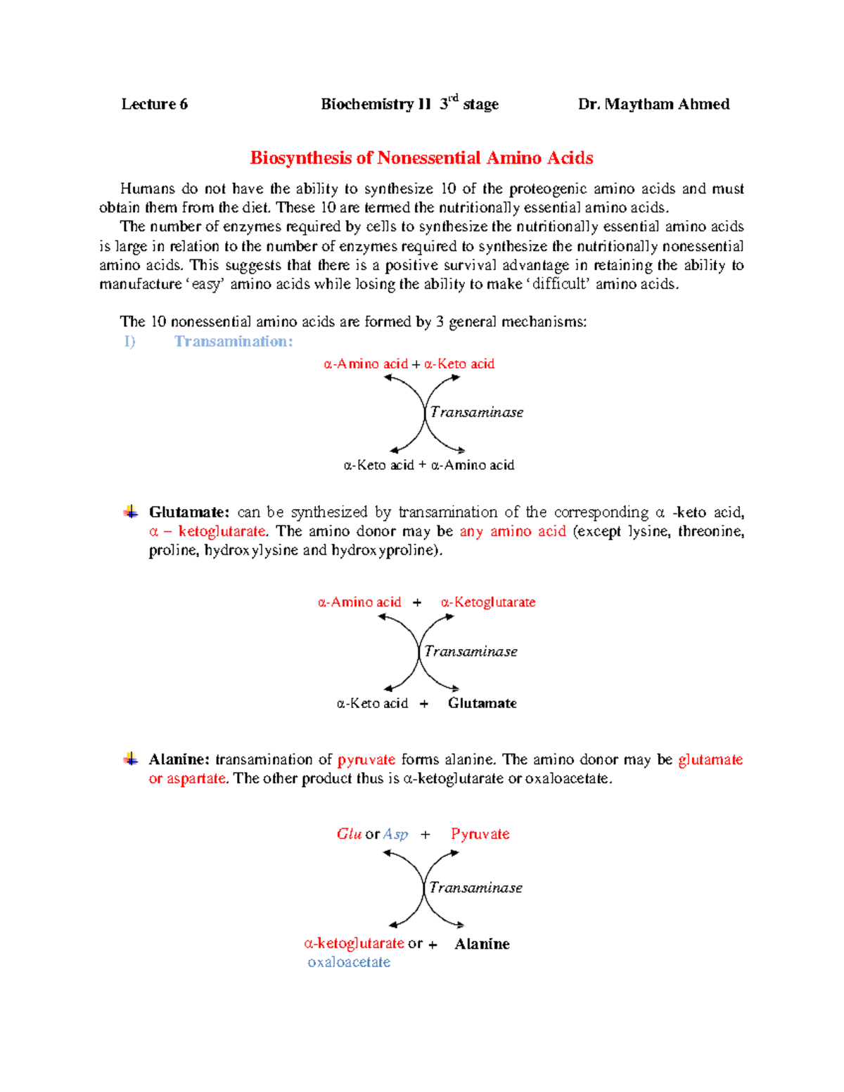 Lecture 6: Biochemistry II - Synthesis of Nonessential Amino Acids ...