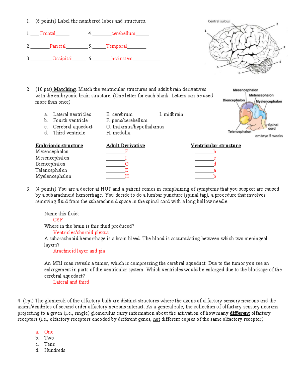 NRSC 1110 Fall 2024 Exam 2 Answer Key and Study Guide - Studocu