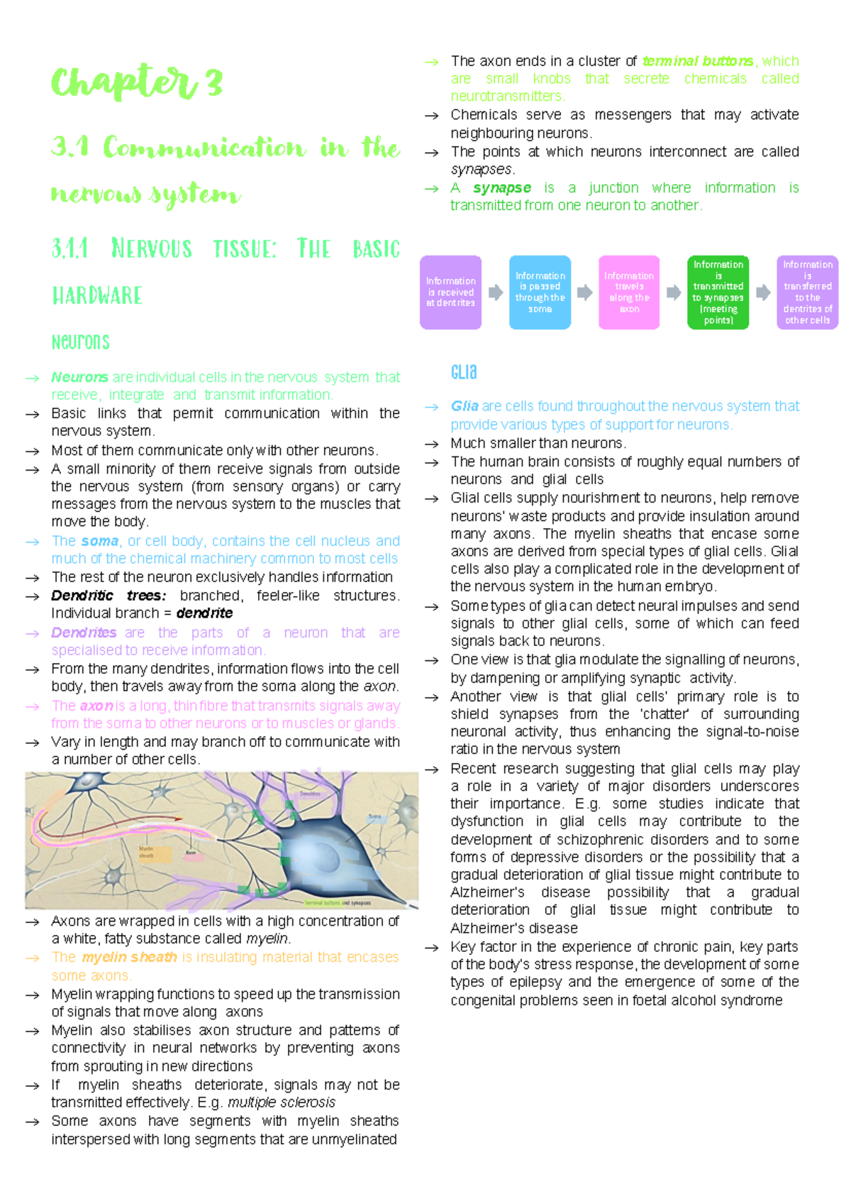 SLK 120 Notes: Chapter 3 - Communication in the Nervous System - Studocu