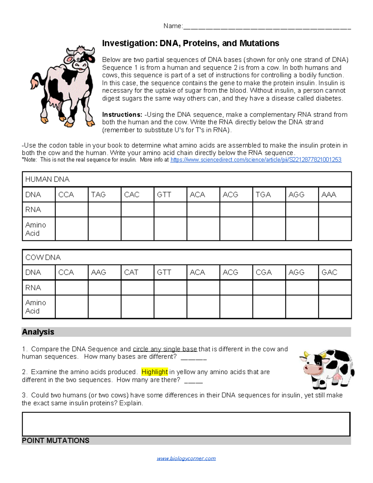 Investigation DNA, Proteins, and Mutations (2A) Analysis Studocu