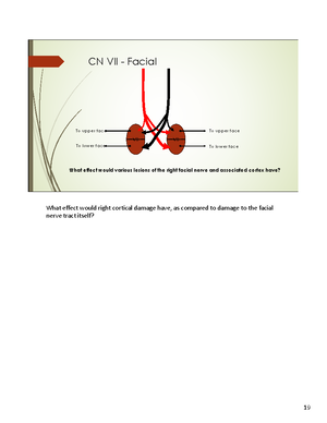 Solved Which Of The Following Best Describes Tissue Plasminogen