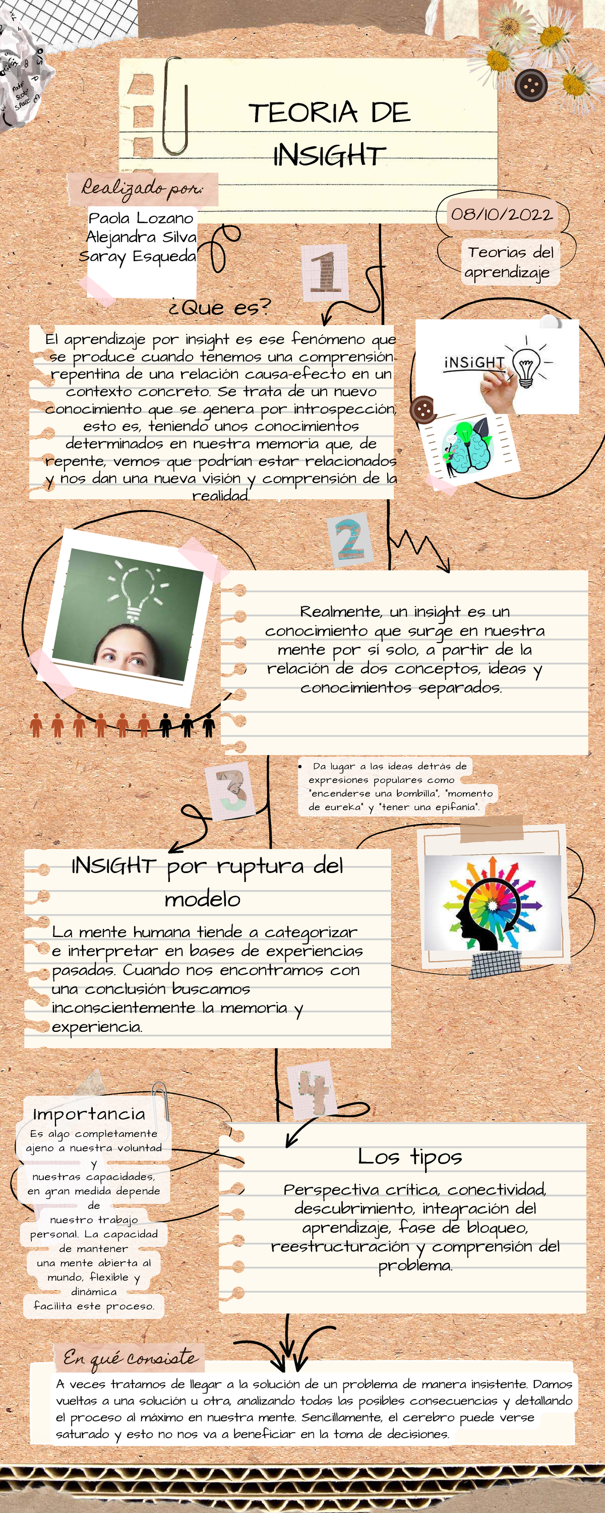 Infografía: Teoría de Insight en el Aprendizaje - Studocu
