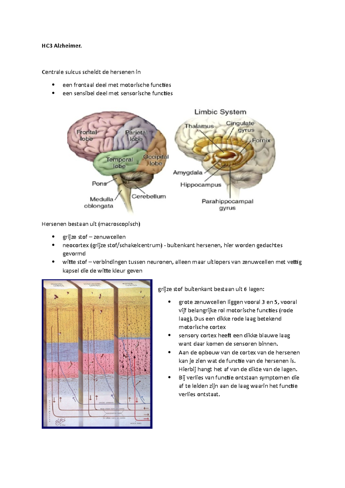 HC3 Final Exam Study Notes on Alzheimer's Disease - Studeersnel