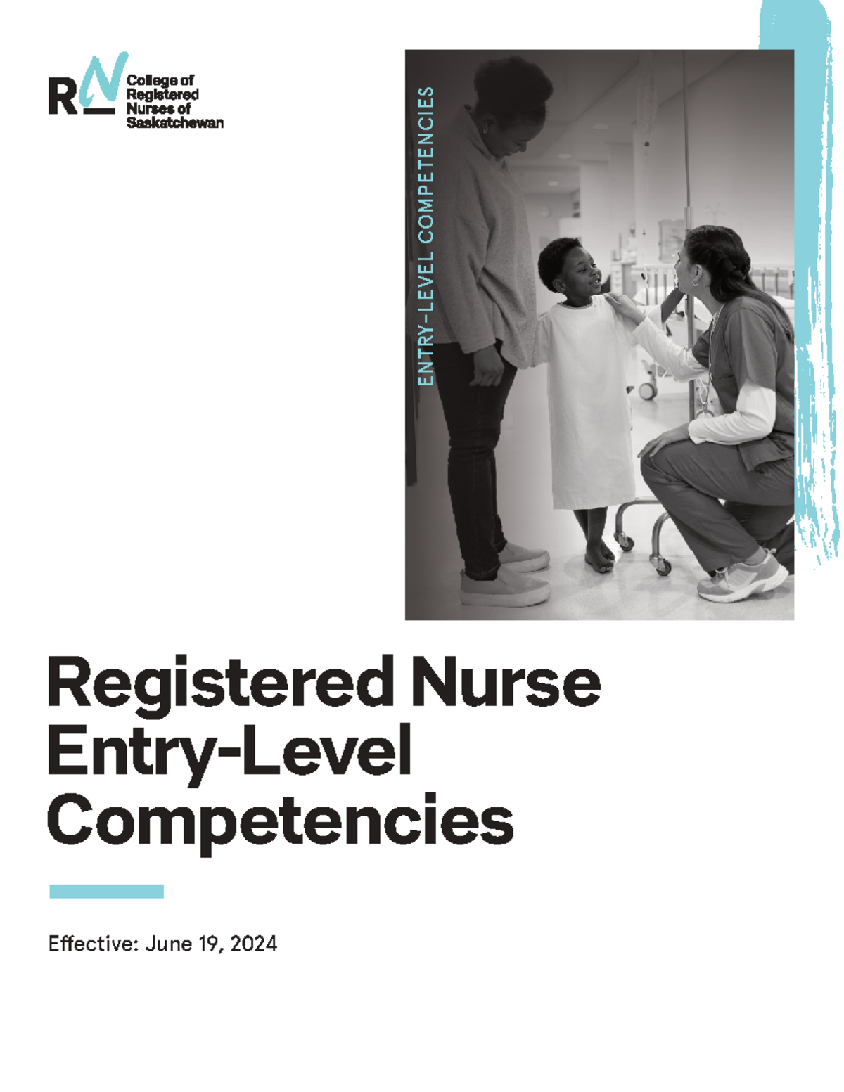 RN Entry Level Competencies: Standards for Registered Nurses in ...