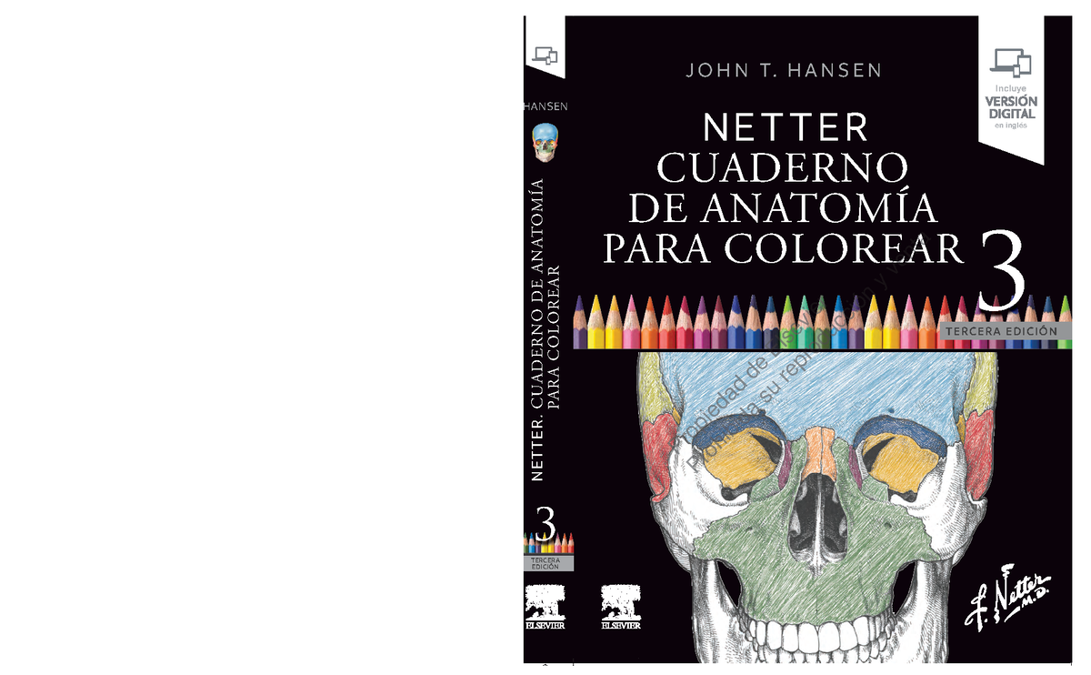 Cuaderno de Anatomía para Colorear, 3.ª Edición de Netter - Document Preview