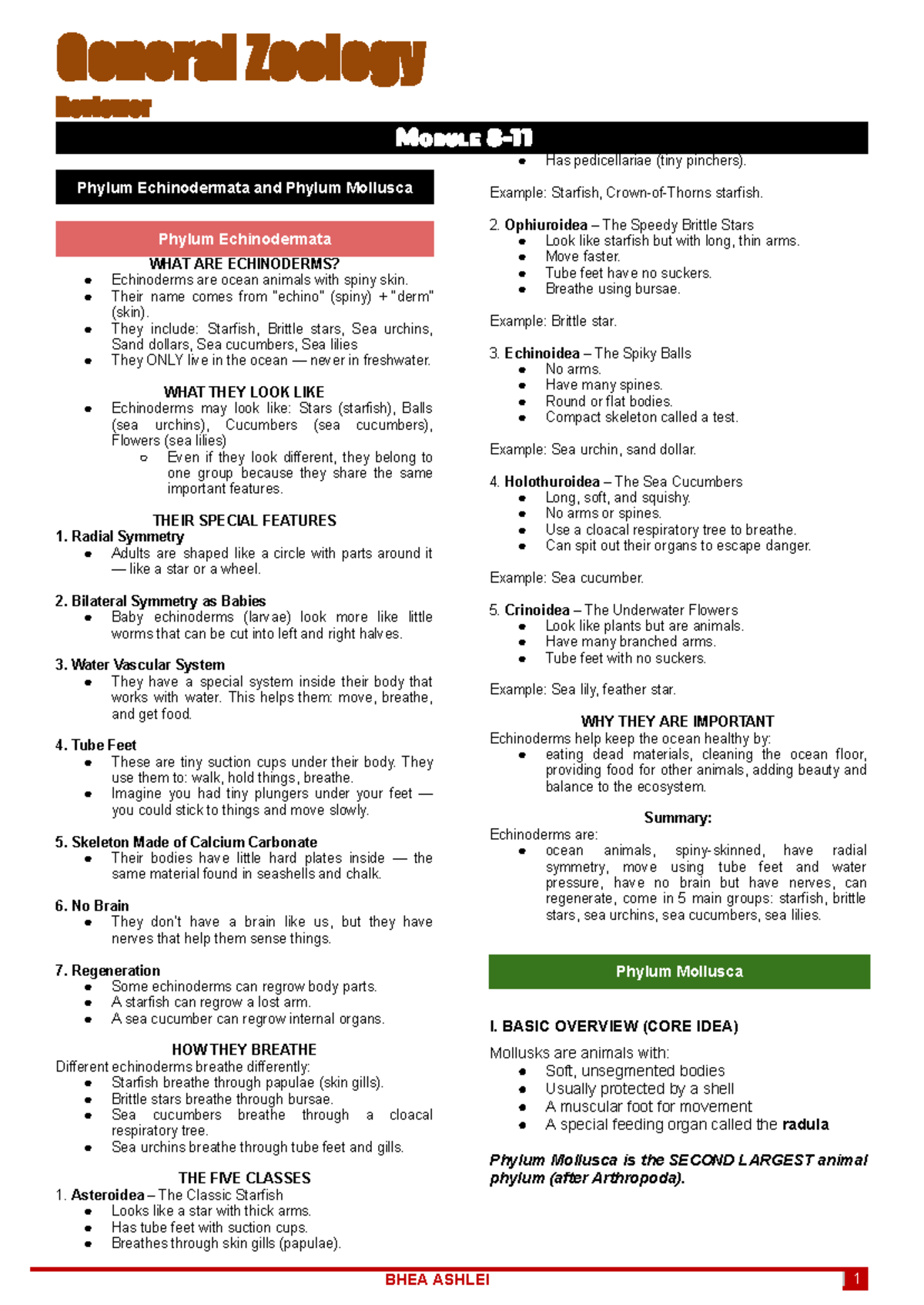 General Zoology Reviewer (ZOOL 1): Echinodermata & Mollusca Overview ...