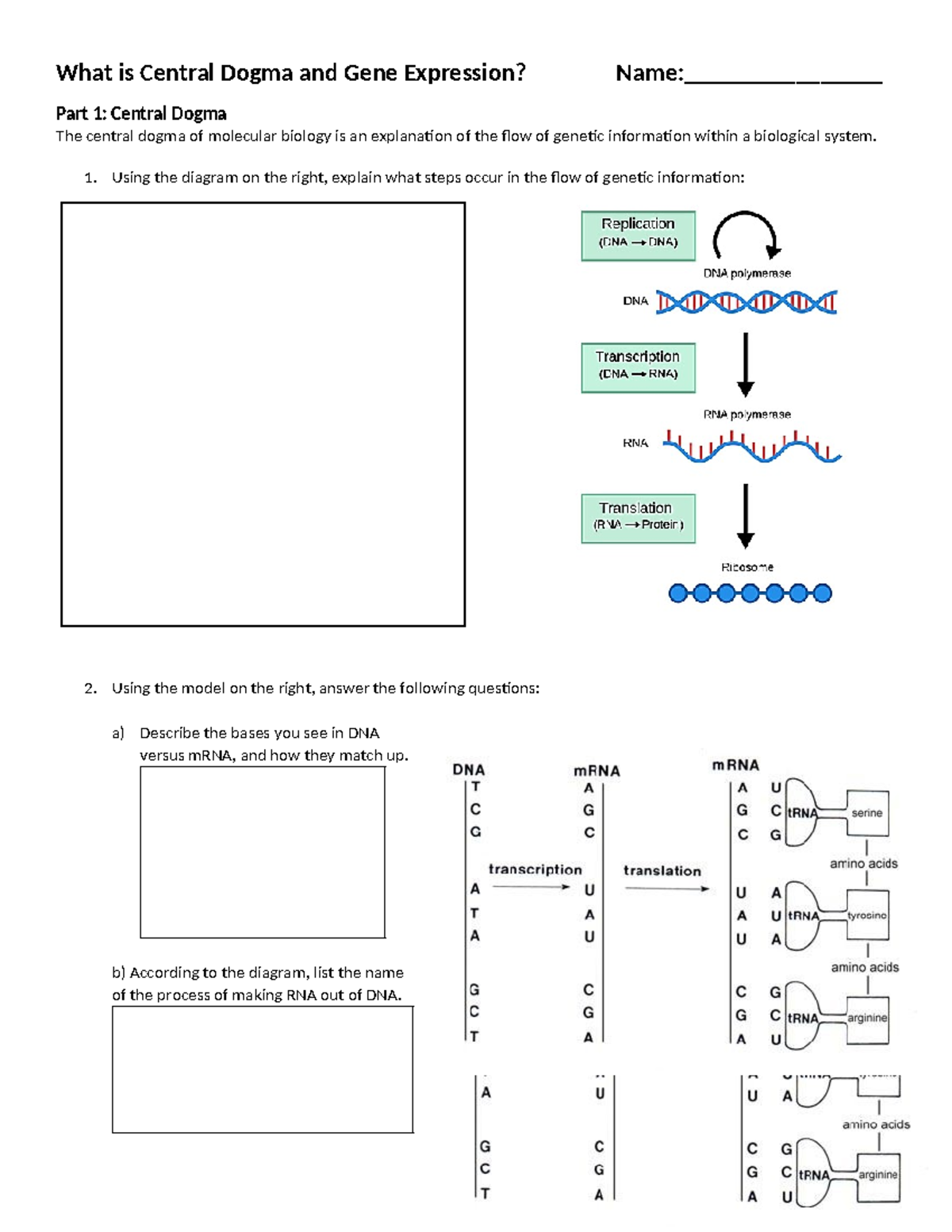 Revanth Kothapalli - 02 What is Central Dogma and Gene Expression ...