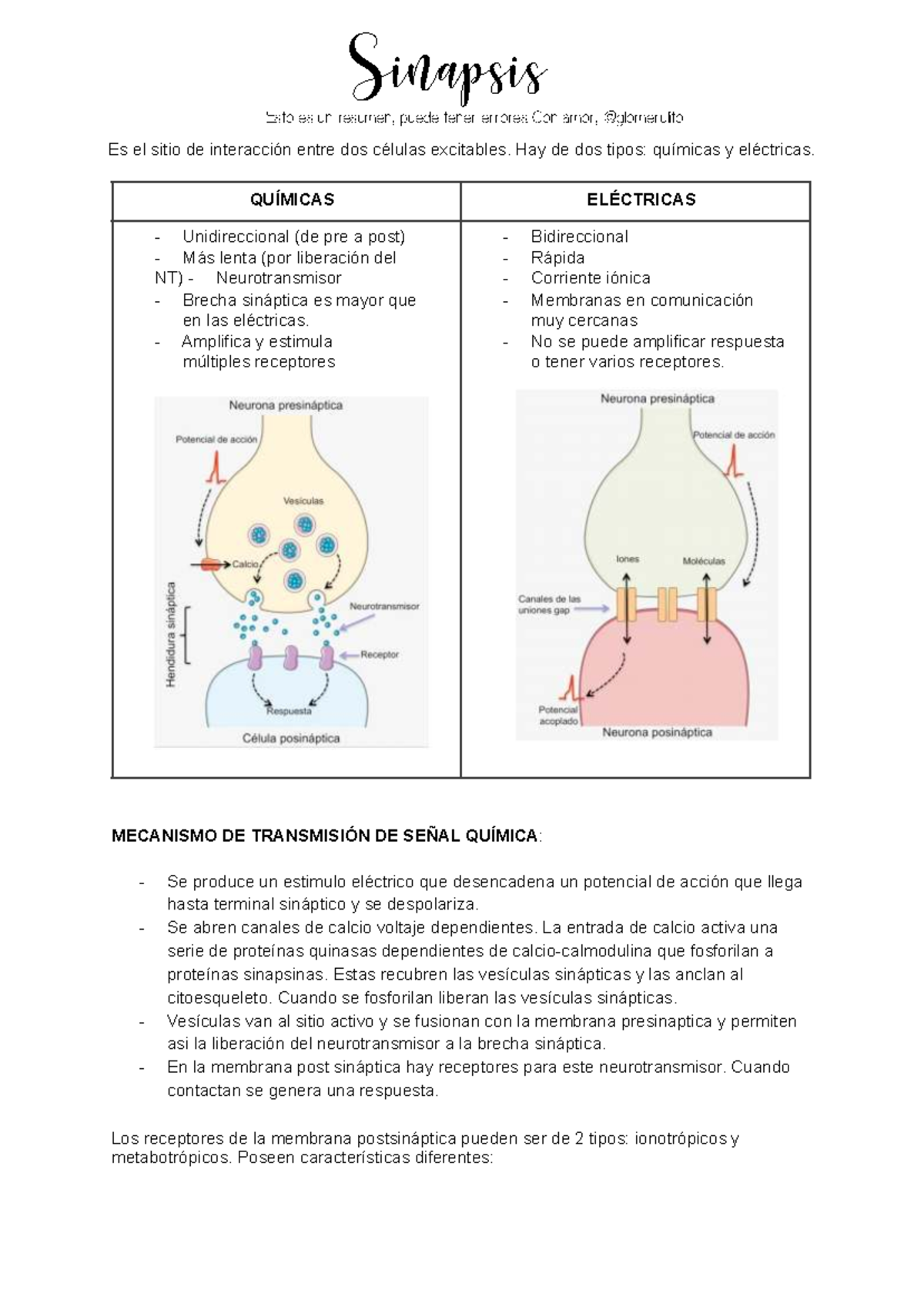 Sinapsis y Neurotransmisores: Resumen de Mecanismos y Funciones - Studocu