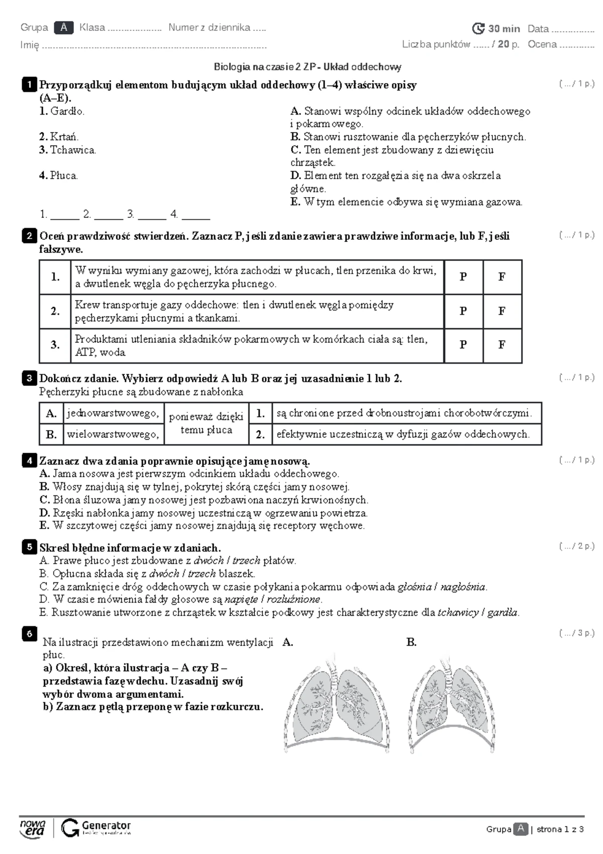 Test - Układ ruchu człowieka 2b1- 31 maja - Grupa A | strona 1 z 4 ...