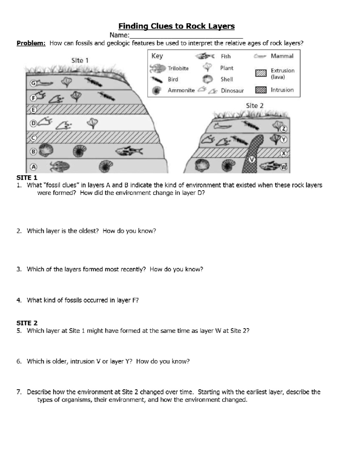 Geology 101: Analyzing Fossils and Rock Layer Ages - Studocu