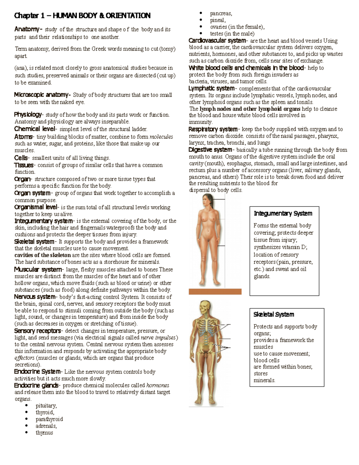 Anaphy Review: Comprehensive Notes on Human Body Systems - Studocu