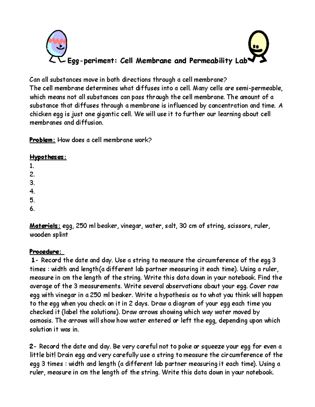 Egg and Diffusion Lab Report: Understanding Cell Membrane Permeability ...