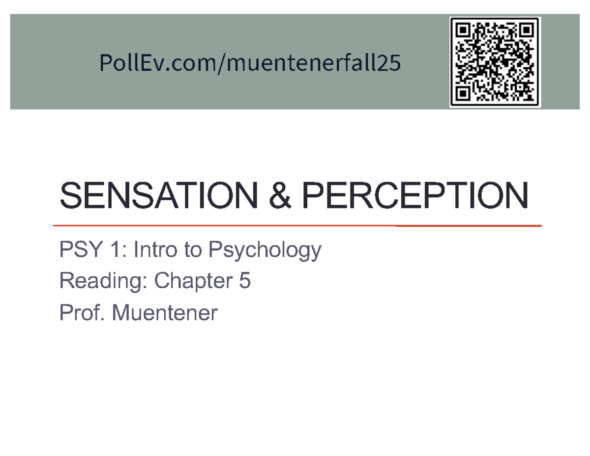 Sensation & Perception Notes: PSY 1 - Chapter 5 Overview - Studocu