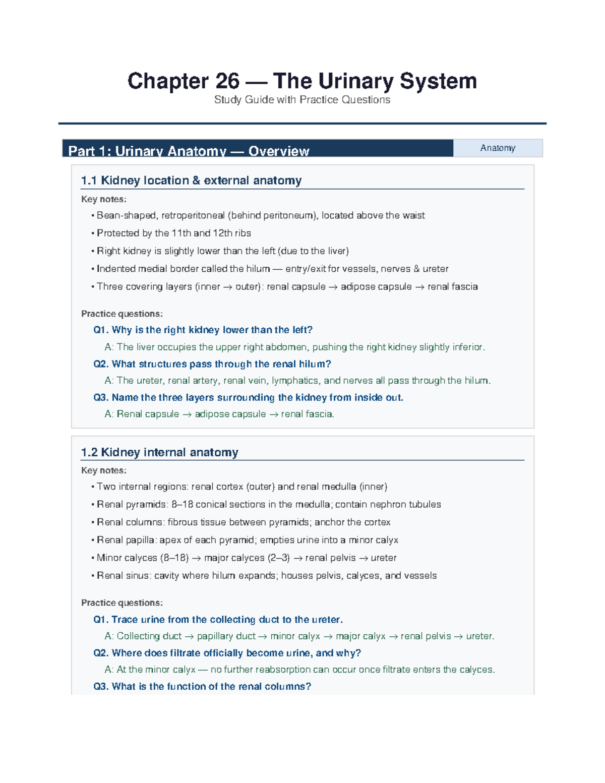 Ch26 Urinary System Study Guide: Anatomy & Functions Overview - Studocu
