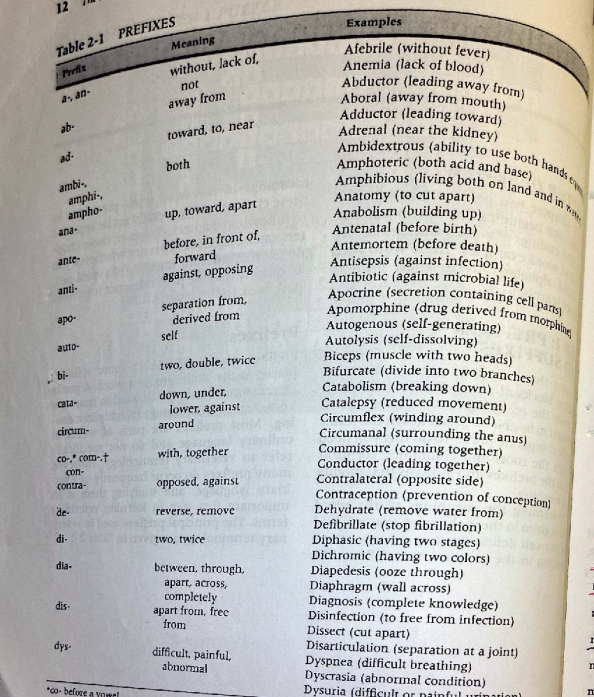 Anatomical Terms and Definitions Flashcards for ANAT 101 - Studocu