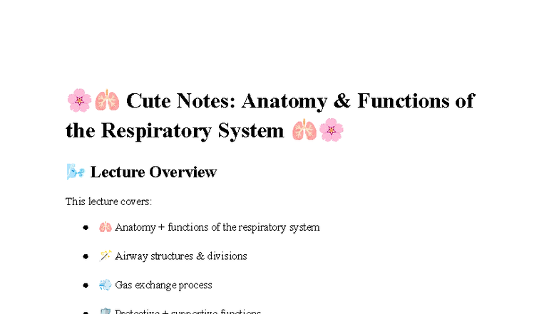 Anatomy visual data 5