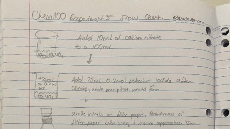 Chem1010 Experiment 5: Calcium Nitrate Precipitation Procedure - Studocu