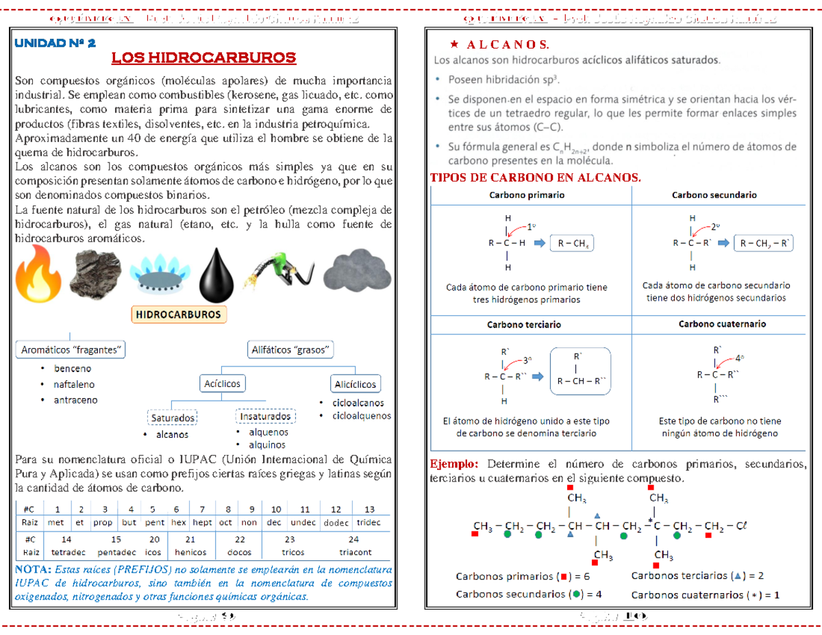 U 2 - Hidrocarburos: Prácticas y Conceptos Clave para UMSA - Document Preview