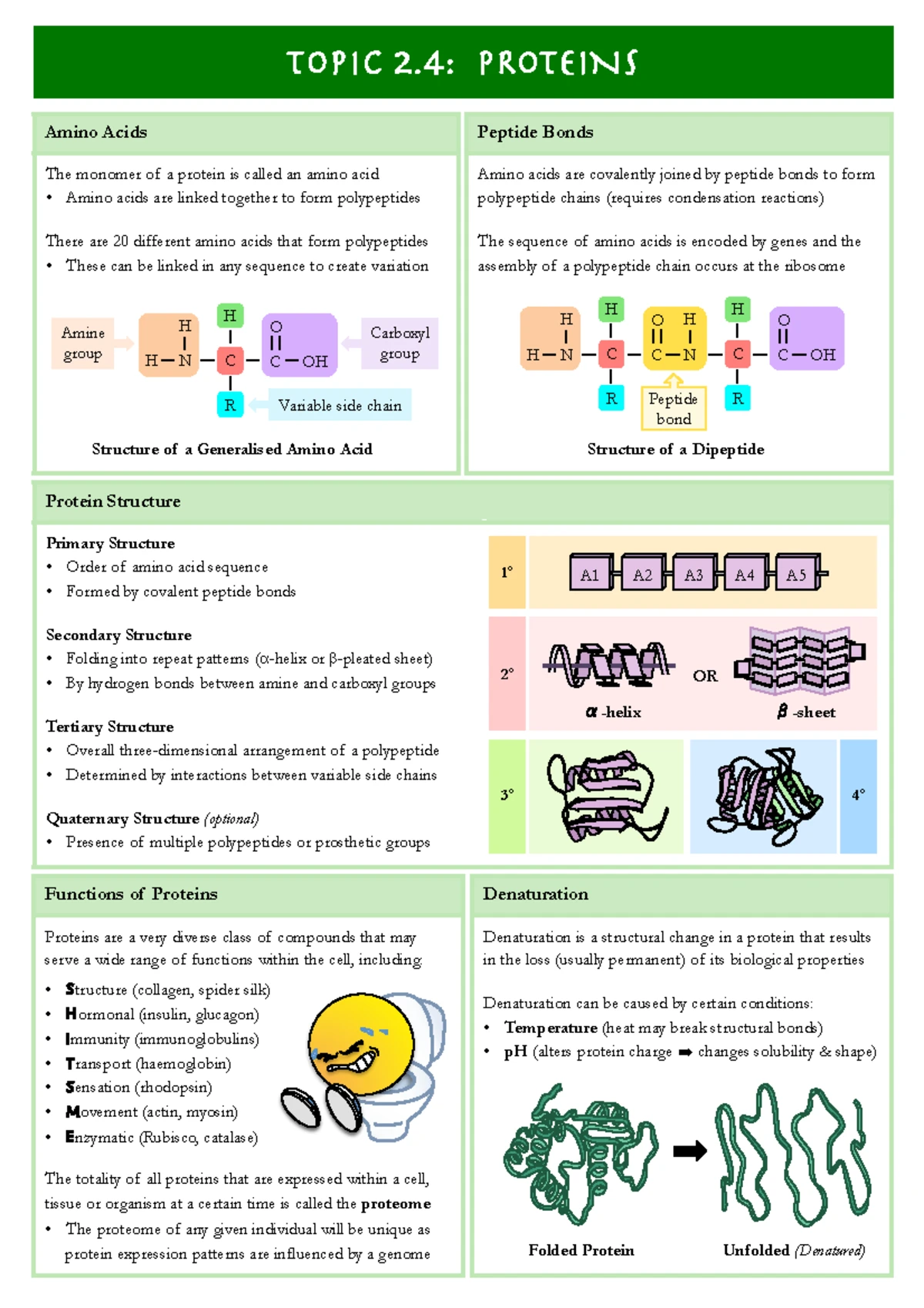 SC100 Reflective Essay: Insights on Climate Change and Sustainability ...
