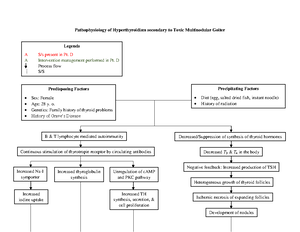DRUG Study GCS OXY 1 - Name of Drug Classification Mechanism Of Action ...