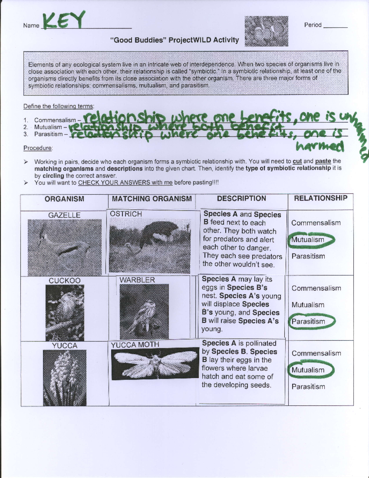 Symbiotic Relationships Activity - 